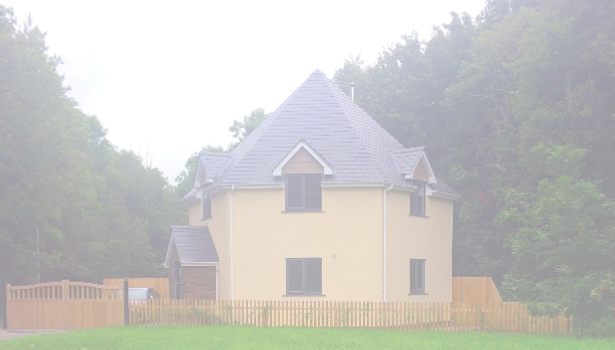 view image