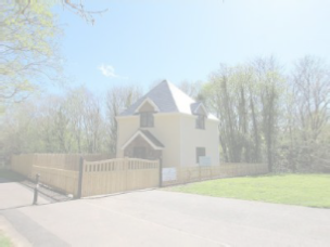 view image