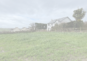 view image