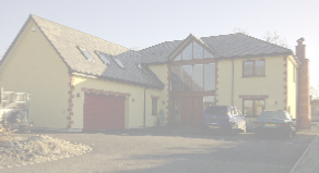 view image