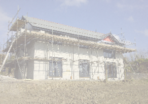 view image